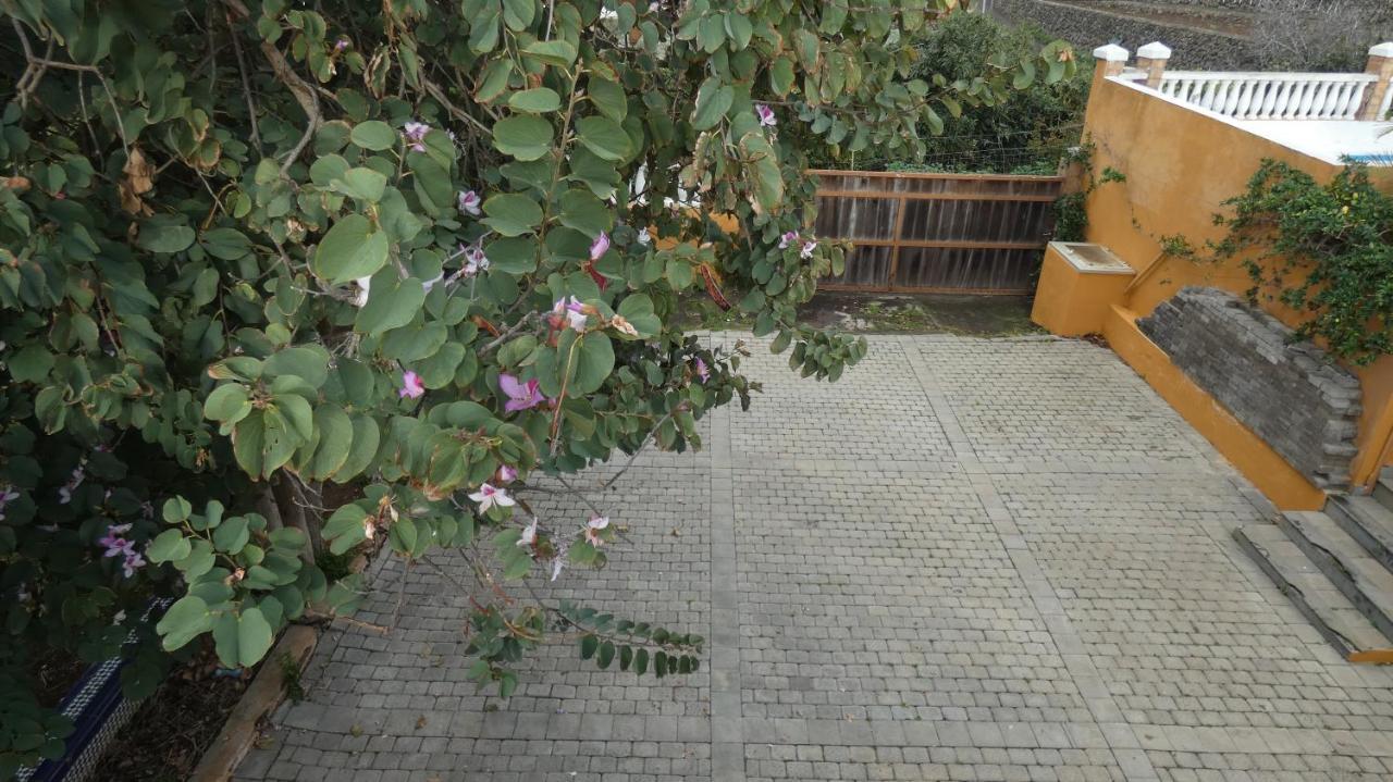 Atlantic Views Otel Tacoronte Dış mekan fotoğraf